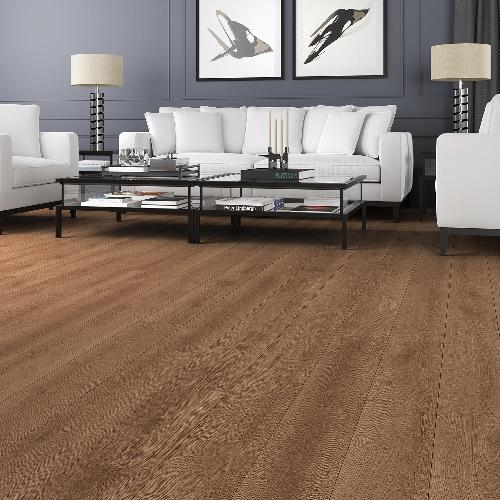 Ламинат (2103) Parchet laminat CAMSAN Platinum Albero Oak  (10mm/32cl/V4)