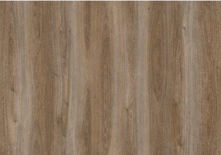Parchet laminat  (5008) CAMSAN SILVER Polar Oak (8mm/31cl)