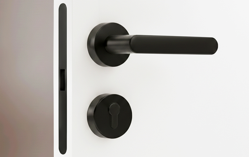 ÎNCHUIETOARE pentru WCSKT- M96*50  PL SN (satin)