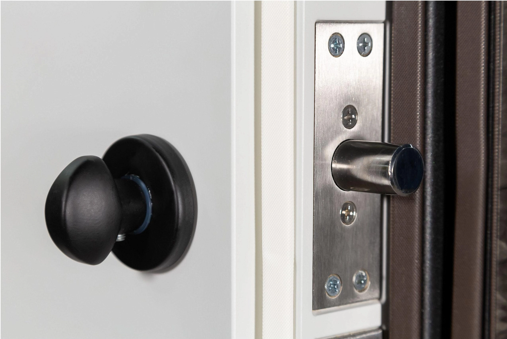 Входная дверь Термо FORTEZZA (Квадро) 536 Mamba morion/Белый Супермат